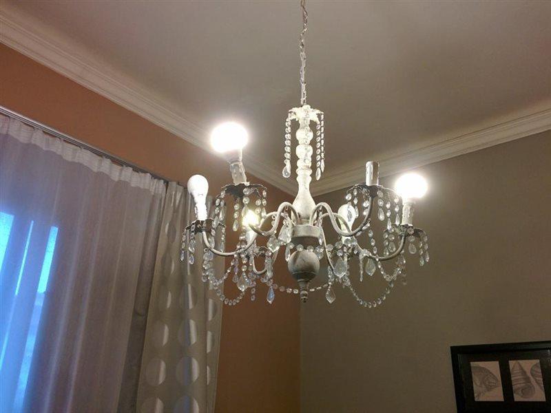 B&B Villa Regina ปิซา ภายนอก รูปภาพ